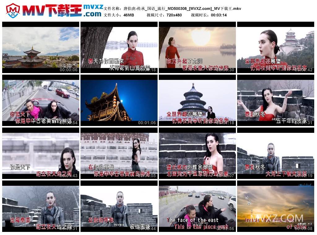 唐伯虎-传承_国语_流行_MD500308